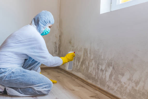 Mold inspector in Smithtown performing thermal imaging